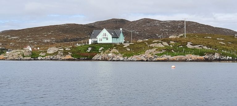 House 2 768x345