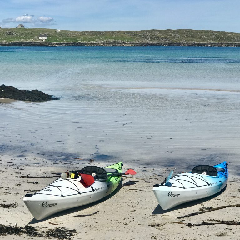 East coast Barra 768x768
