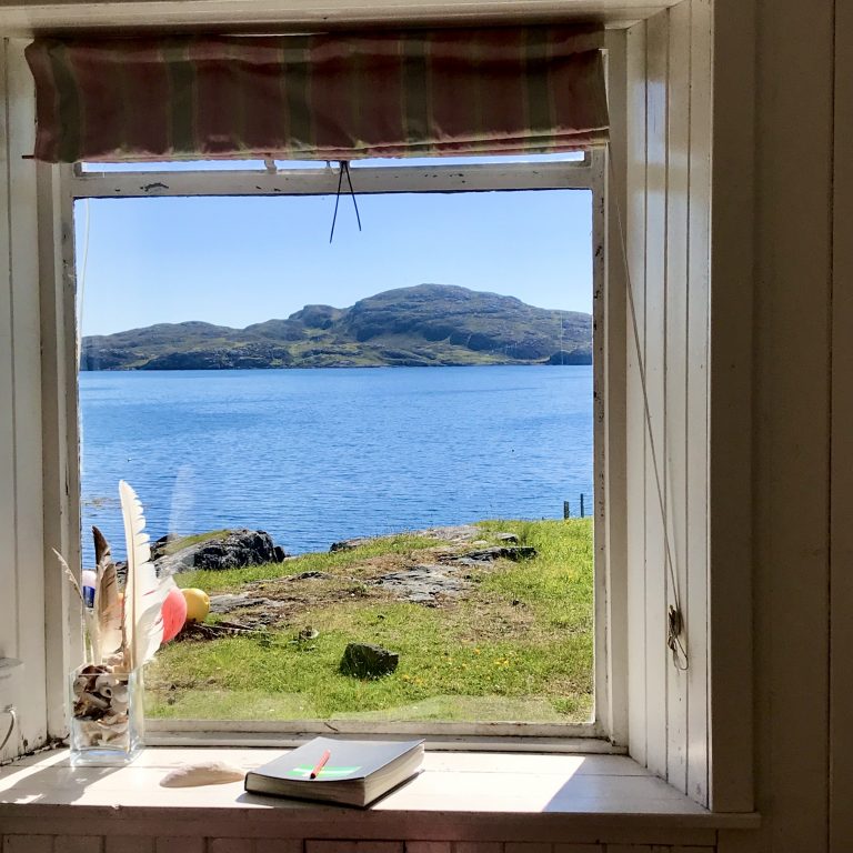 View from the livingroom  768x768