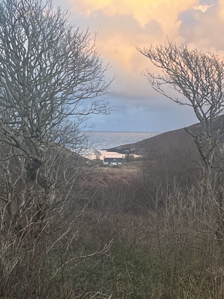 woodview mornings 768x1024