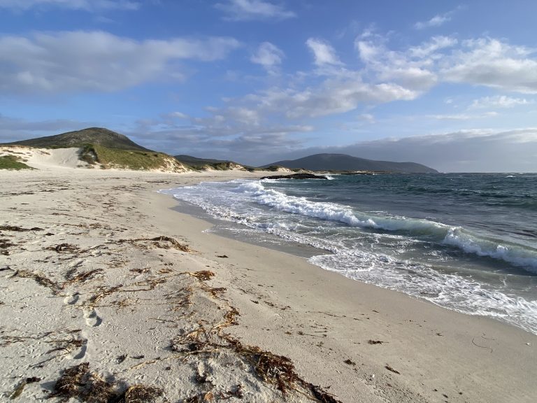 Seal Bay Seal Bay