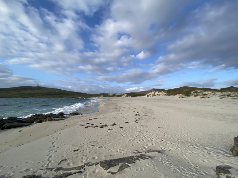 Seal Bay Seal Bay